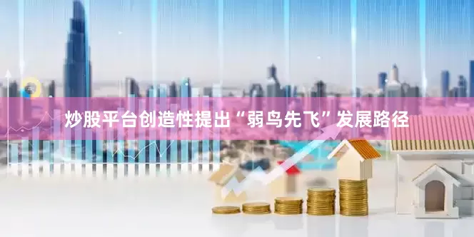 炒股平台创造性提出“弱鸟先飞”发展路径