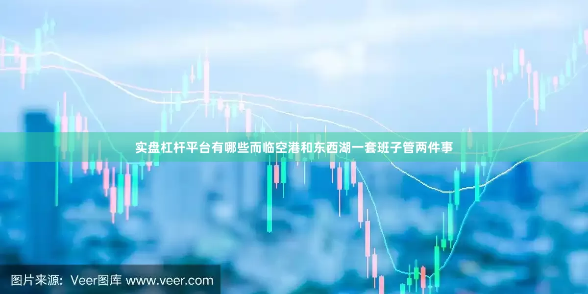 实盘杠杆平台有哪些而临空港和东西湖一套班子管两件事