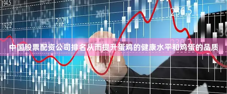 中国股票配资公司排名从而提升蛋鸡的健康水平和鸡蛋的品质